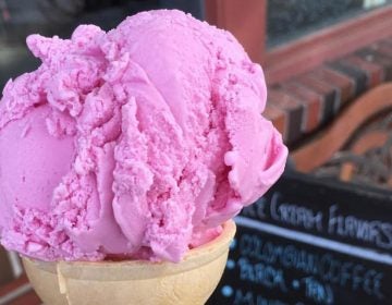 Teaberry ice cream is bright pink, but has an intense mint flavor  (INSTAGRAM / @YICONLINE)