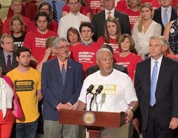 State Sen. Anthony Williams, D-Philadelphia, speaks at a rally to change Pennsylvania’s gun laws at the statehouse in Harrisburg Wednesday, Aug. 7, 2019. (Emily Previti/PA Post) 
