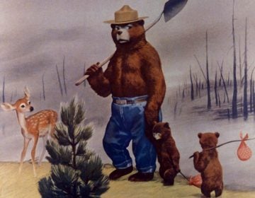 Smokey's look had changed by 1951; he gained a shovel and a stronger demeanor than his softer first appearance. (The Ad Council)