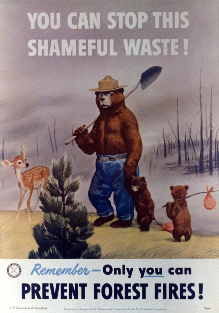Smokey’s look had changed by 1951; he gained a shovel and a stronger demeanor than his softer first appearance. Smokey's look had changed by 1951; he gained a shovel and a stronger demeanor than his softer first appearance. (The Ad Council)