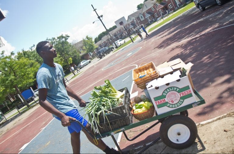 Ahmaj Jackson, 14, wheels fresh produce around the Ruth Bennett Community Farm in Chester, Pennsylvania. (Kimberly Paynter/WHYY)