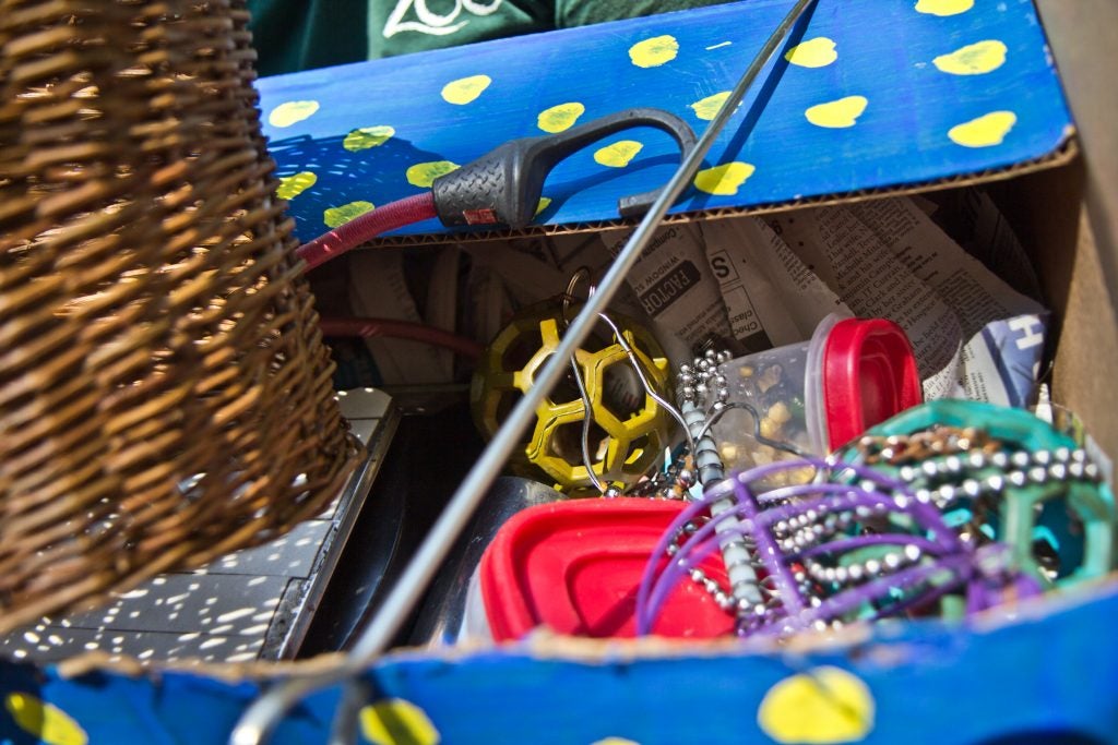 Some of the toys that Mo, the black-headed caique, will play with at the Brandywine Zoo. (Kimberly Paynter/WHYY)