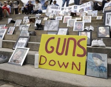 Demonstrators and students gather during a rally against gun violence on the steps of the Philadelphia Museum of Art, Monday, June 11, 2018, in Philadelphia. (Matt Slocum / AP Photo)