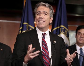 FILE - In this Nov. 15, 2011, file photo former U.S. Rep. Joe Walsh, R-Ill., gestures during a news conference on Capitol Hill in Washington. Walsh, a former Illinois congressman, says he'll challenge President Donald Trump for the Republican nomination in 2020. The tea party favorite argues that Trump is unfit for the White House. (AP Photo/Carolyn Kaster, File)