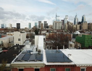 Solar panels on Philadelphia rowhouses. (Adam Stein for Solar States)