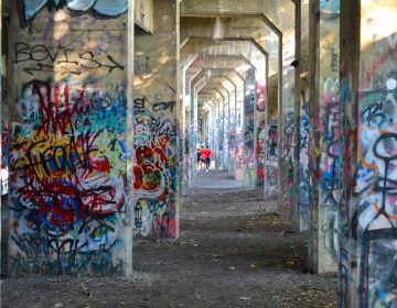 Visitors walk under the arches of Graffiti Pier. (Joel Wolfram for WHYY)