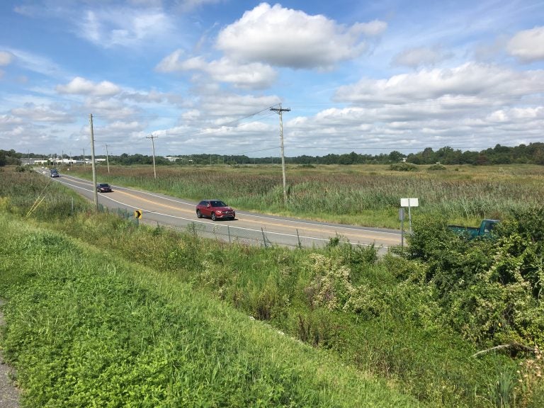 This section of Rt. 9 south of New Castle, Delaware frequently floods during heavy rains and high tides. U.S. Sen. Tom Carper of Delaware visited the area Monday to talk about a federal funding bill to improve resiliency for low lying roads. (Mark Eichmann/WHYY)