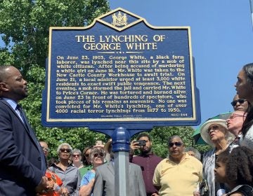 Sen. Darius Brown, Savannah Shepherd and others read the words on The Lynching of George White Historical Marker just minutes after it was unveiled at Greenbank Park on June 23. (Scott Goss/Delaware Senate Majority Caucus) 