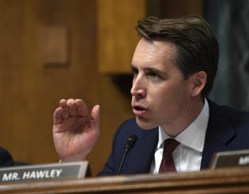 Sen. Josh Hawley has made it a point to challenge the major tech companies since his election in 2018. (Susan Walsh/AP Photo)