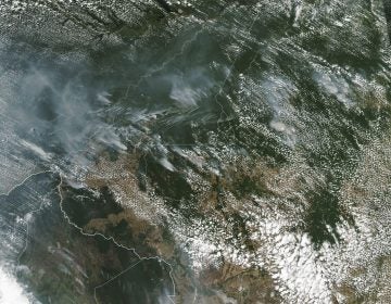 Several of the fires burning in the Amazon rainforest can be seen even from space, as evidenced by this satellite image provided by NASA earlier this month. Brazil's National Institute for Space Research said the country has seen a record number of wildfires this year.
(NASA via AP)