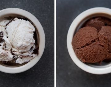 Two scoops of Perfect Day's vegan ice cream, made with synthetic whey proteins. Protein from whey, a byproduct of cheese-making, is often used to give frozen desserts a creamy texture. Perfect Day makes its whey proteins using microbes. (Olivia Falcigno/NPR)