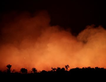 Smoke billows during a fire in an area of the Amazon rainforest near Humaita, Brazil, on Aug. 17. (Ueslei Marcelino/Reuters)