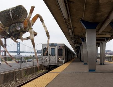 Orb weaver spider at Spring Garden Station. (Note: Dramatization. Not actual size.) (Max Marin/Billy Penn illustration)