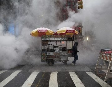 Snow falls on a street food vendor as he makes his way down Broadway with his cart past steam rising in New York, NY. (AP Photo/Mary Altaffer)