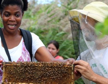 (Honey Festival/Sara Plonksi)