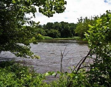 A view of the Delaware River.