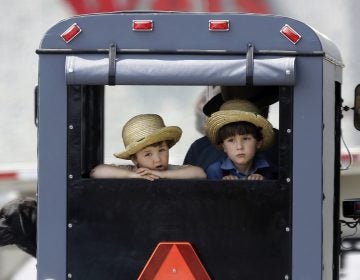 Two boys ride in the back of a horse-drawn buggy stopped at a traffic light, Wednesday, May 29, 2019, in Lancaster County, near Gap, Pa. (AP Photo/Jacqueline Larma)