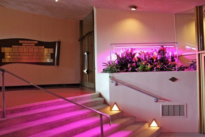 Visual artist David Hartt has installed an exhibit at Beth Sholom Synagogue in Elkins Park, designed in the 1950s by architect Frank Lloyd Wright. (Emma Lee/WHYY)