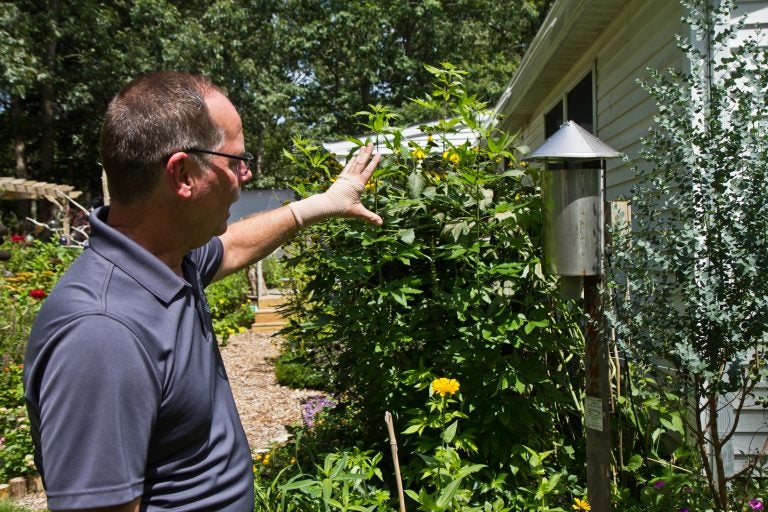 Peter Bosak, superintendent of the Cape May County Department of Mosquito Control, explains how mosquitos are trapped. (Kimberly Paynter/WHYY)