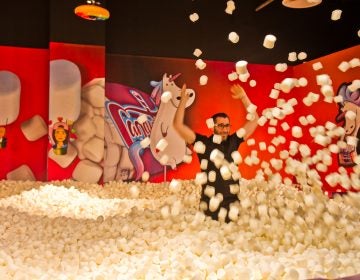 Adults play in the 'highly instagrammable' marshmallow pit at the Fashion District's Candytopia exhibit. (Kimberly Paynter/WHYY)