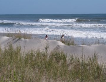 This Sept. 20, 2019 photo shows some of the sand dunes in Stone Harbor, N.J. (Wayne Parry/AP Photo)