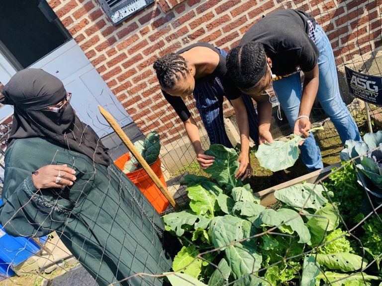 Gardeners work at Glover Gardens. (Courtesy of Hajjah Glover)