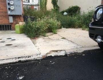 A crumbling sidewalk on Green Street near 11th (Michaela Winberg/Billy Penn)