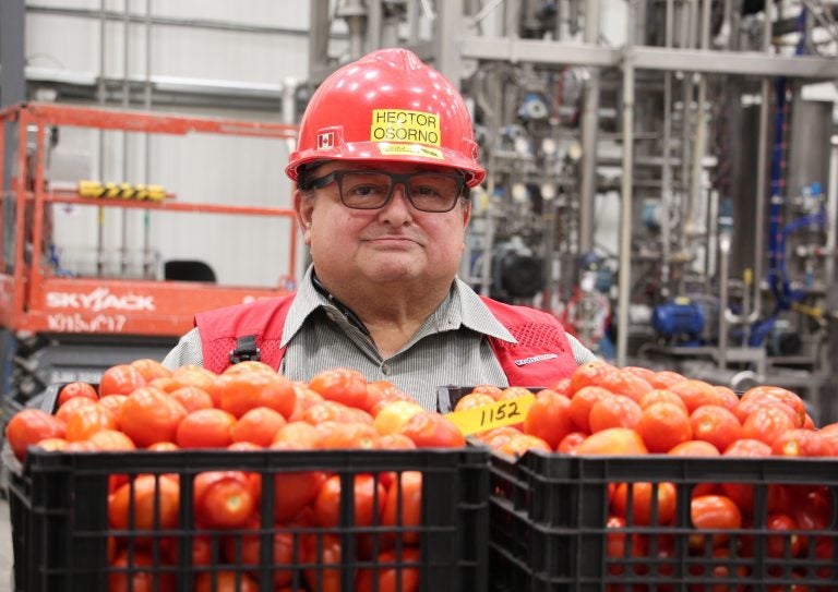 Hector Osorno is the Kraft Heinz Ketchup Master, whose job it is to make sure around 70% of the ketchup sold in America tastes the way it should.
(Dan Charles/NPR)