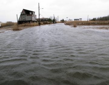 This March 14, 2017, photo shows the flooded streets of a back bay neighborhood in Manahawkin N.J., after a moderate storm. (AP Photo/Wayne Parry)