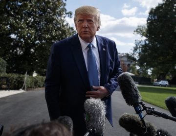 President Donald Trump talks to reporters on the South Lawn of the White House, Friday, Oct. 4, 2019, in Washington. (Evan Vucci/ AP Photo)