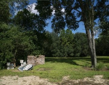 A flood-prone area of Houston where houses have been bought out with help from the federal government is now an empty field. (Claire Harbage/NPR)