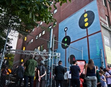 Aspect 281 at 990 Spring Garden Street is part of Site/Sound: Revealing the Rail Park, a public art festival. (Kimberly Paynter/WHYY)