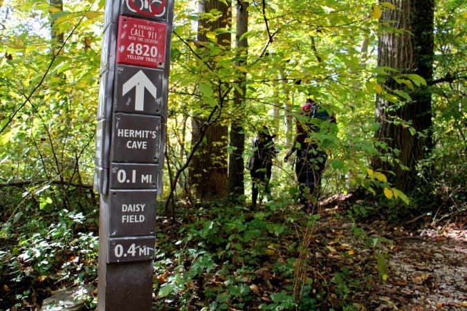 File photo: A trail marker points in the direction of the Hermit's Cave, believed to have been used by Johannes Kelpius and his followers  while they awaited the end of days in the wilderness. (Emma Lee/WHYY)