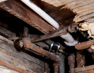 FILE - In this Nov. 8, 2018, file photo, a lead pipe, left, is seen in a hole the kitchen ceiling in the home of Desmond Odom, in Newark, N.J. (AP Photo/Julio Cortez, File)