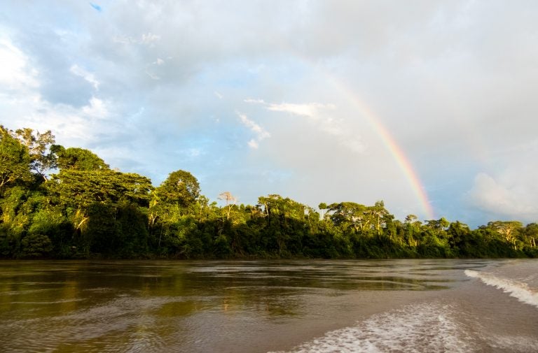 Ecologists are tuning into the sounds of rainforests to study ecosystem health and biodiversity. (Image courtesy of Diego Balbuena)