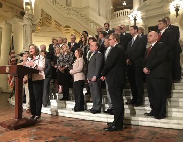 House lawmakers celebrate passing a slate of bills that they say will give victims equal rights, including Marsy's Law. (Katie Meyer/WITF)