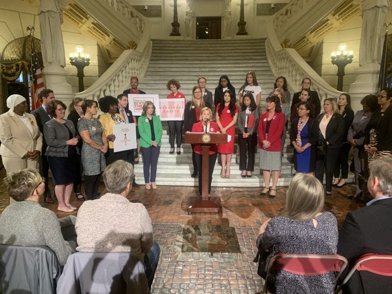 Lawmakers and advocates gathered in the Capitol Tuesday to promote their effort to make free menstrual products publicly available. (Katie Meyer/WITF)
