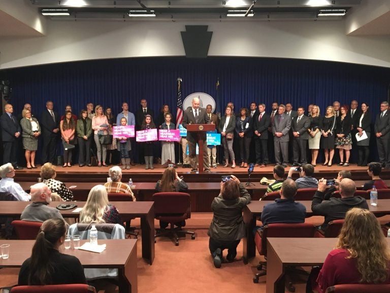 A number of lawmakers--almost all Republicans--have their names on the bill that would effectively ban abortion in Pennsylvania. (Katie Meyer / WITF)
