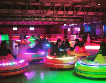 Bumper car rink in at the Ice Zoo in Sydney, Australia. (Facebook/Bumper cars on ice)