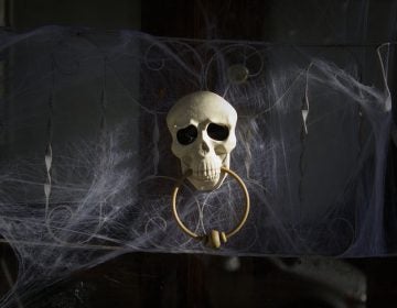 Scull door knocker and cobweb Halloween decorations, on the day before Halloween in Philadelphia, Pa.
(Bastiaan Slabbers/Getty Images)