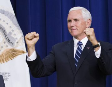 Vice President Mike Pence reacts during an immigration and naturalization ceremony in the Eisenhower Executive Office Building on the White House grounds, Tuesday, Sept. 17, 2019, in Washington. (AP Photo/Alex Brandon)