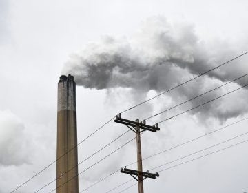 The Bruce Mansfield Power Plant burns coal to generate electricity in Beaver County. (Amy Sisk/StateImpact Pennsylvania)