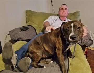 Patrick Hennessy with his pitbull Roxy at his home in Bayville, N.J. (Nicholas Pugliese/WHYY)