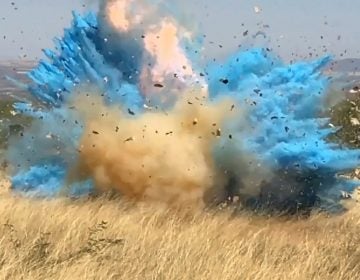 In this frame grab from a April 23, 2017, video provided by the U.S. Forest Service, is a gender reveal event in the Santa Rita Mountain's foothills, more than 40 miles southeast of Tucson, Ariz. The explosion from the reveal ignited the 47,000-acre Sawmill Fire. (U.S. Forest Service via AP Photos)