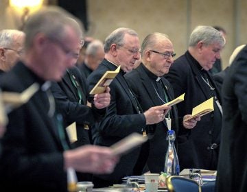 Bishops sing during an opening hymn at the start of the United States Conference of Catholic Bishops Fall General Assembly at the Baltimore Marriott Waterfront Monday, Nov. 11, 2019.  (Jerry Jackson/The Baltimore Sun via AP)