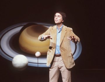 In this 1981 file photo, astronomer Carl Sagan speaks during a lecture. On Saturday, May 9, 2015, Cornell University announced that its Institute for Pale Blue Dots is to be renamed the Carl Sagan Institute. Sagan was famous for extolling the grandeur of the universe in books and shows like 