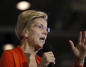 Democratic presidential candidate Sen. Elizabeth Warren, D-Mass., speaks during a town hall meeting at Grinnell College, Monday, Nov. 4, 2019, in Grinnell, Iowa. (AP Photo/Charlie Neibergall)