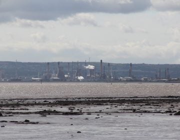 Ships carrying ethane from Pennsylvania sail the Firth of Forth, a river estuary emptying into the North Sea, to Grangemouth. (Reid R. Frazier/StateImpact Pennsylvania)