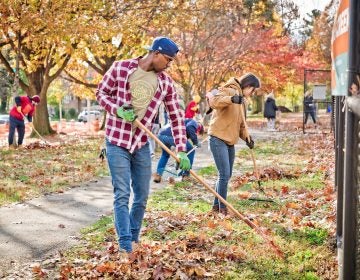 Volunteers raking leaves at Cobbs Creek Park during 2018's Love Your Park Fall Service Day. (Courtesy of Steve Belkowitz)