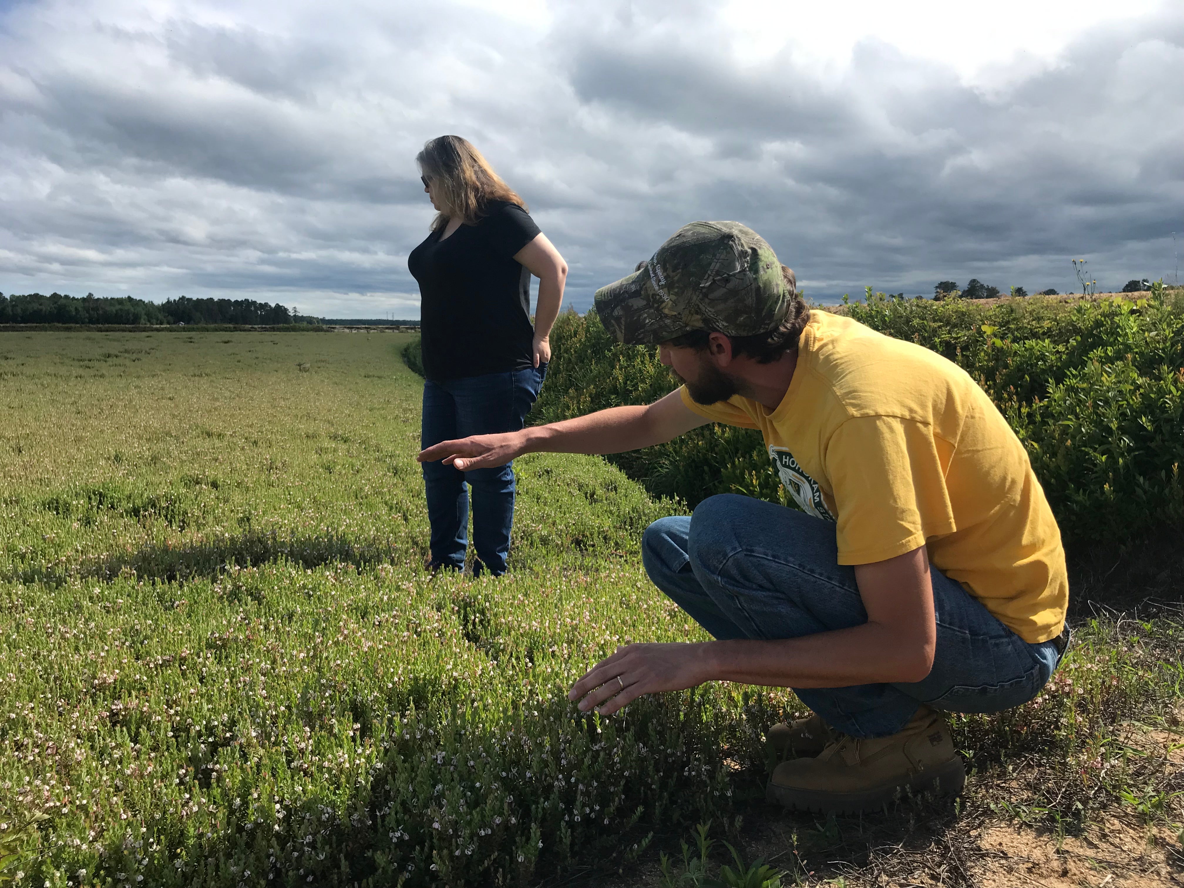 One farm tried to make sustainable food affordable. Here's what